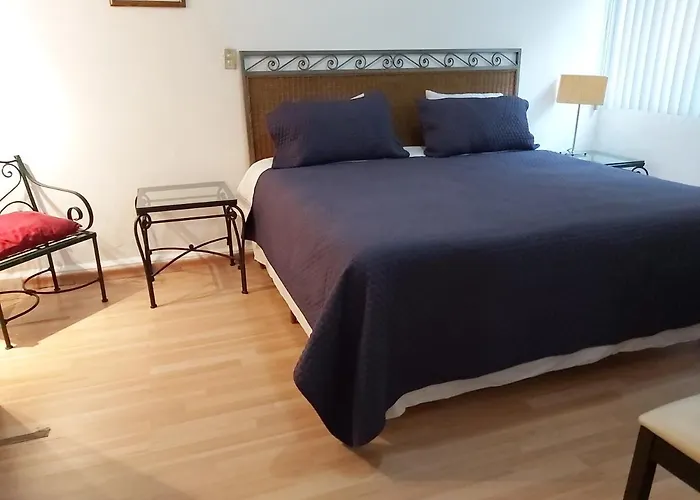 Steinhaus Homero Apartment Mexico City