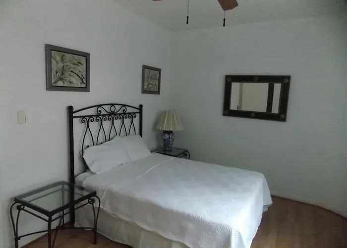 Steinhaus Homero Apartment Mexico City