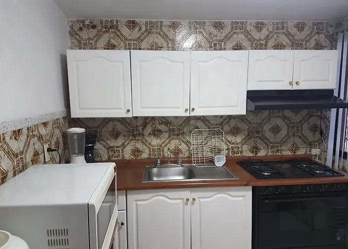 Apartment Steinhaus Homero Mexico City